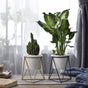 Metal Planter - Plant pot and plant stands | Room decor items