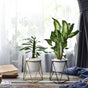 Metal Planter - Plant pot and plant stands | Room decor items