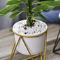 Metal Planter - Plant pot and plant stands | Room decor items