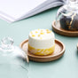 Mini Cake Stand With Dome