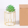 Plant Stand Indoor - Indoor plant pots and flower pots | Home decoration items