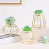 Plant Stand Indoor - Indoor plant pots and flower pots | Home decoration items