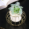 Plant Stand Indoor - Indoor plant pots and flower pots | Home decoration items