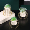 Plant Stand Indoor - Indoor plant pots and flower pots | Home decoration items