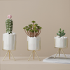 Pearl Planter With Stand - Indoor plant pots and flower pots | Home decoration items