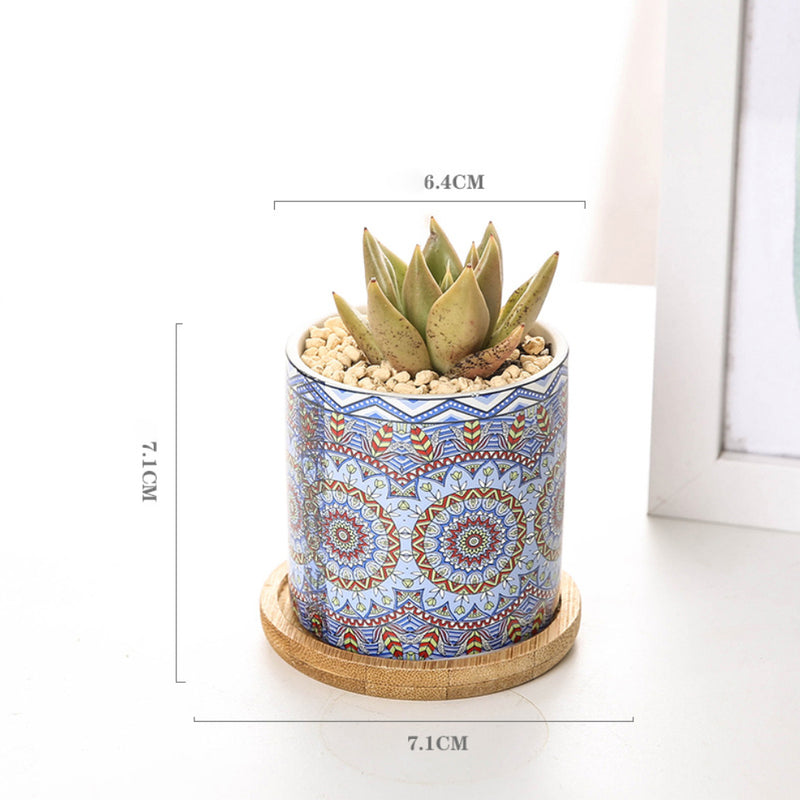 House Plant Pots - Indoor planters and flower pots | Home decor items