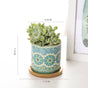 House Plant Pots - Indoor planters and flower pots | Home decor items