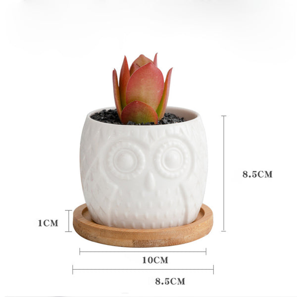 Owl Ceramic Pot - Indoor plant pots and flower pots | Home decoration items