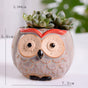 Owl Planter - Indoor plant pots and flower pots | Home decoration items