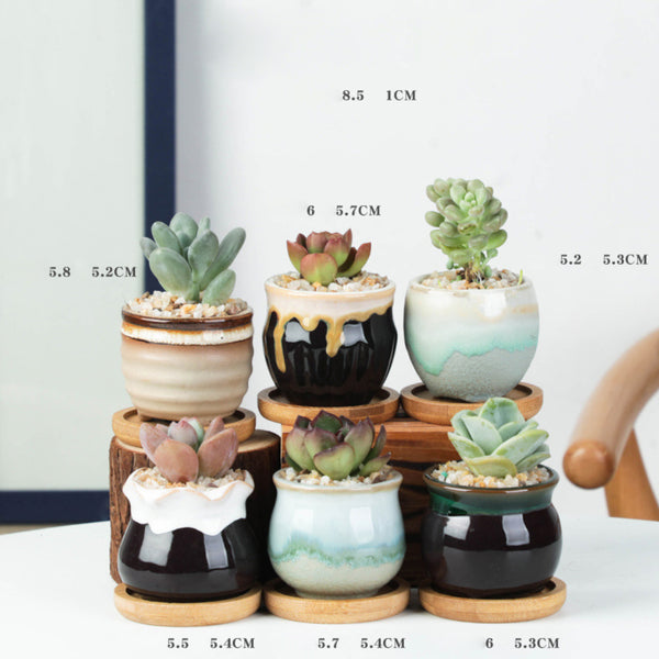 Planters Set of 6 - Indoor plant pots and flower pots | Home decoration items