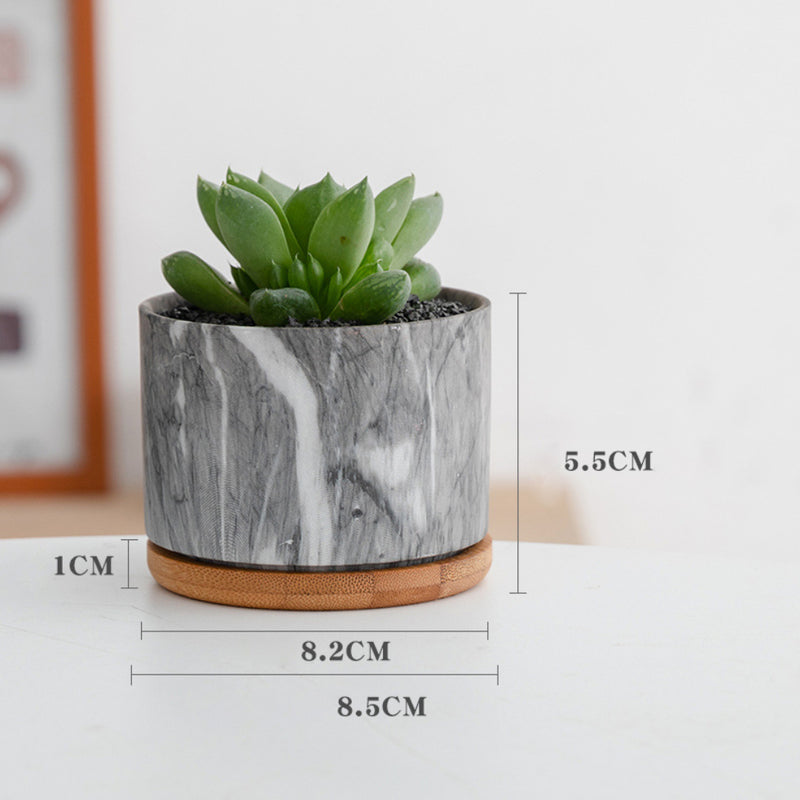 Succulent Plant Pot - Indoor planters and flower pots | Home decor items