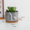 Succulent Plant Pot - Indoor planters and flower pots | Home decor items