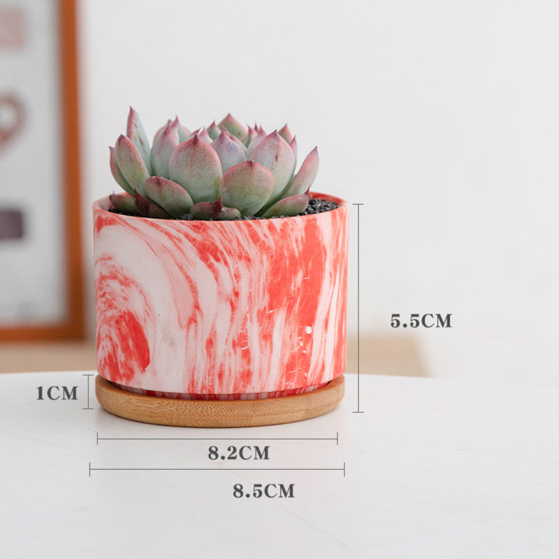 Succulent Plant Pot - Indoor planters and flower pots | Home decor items