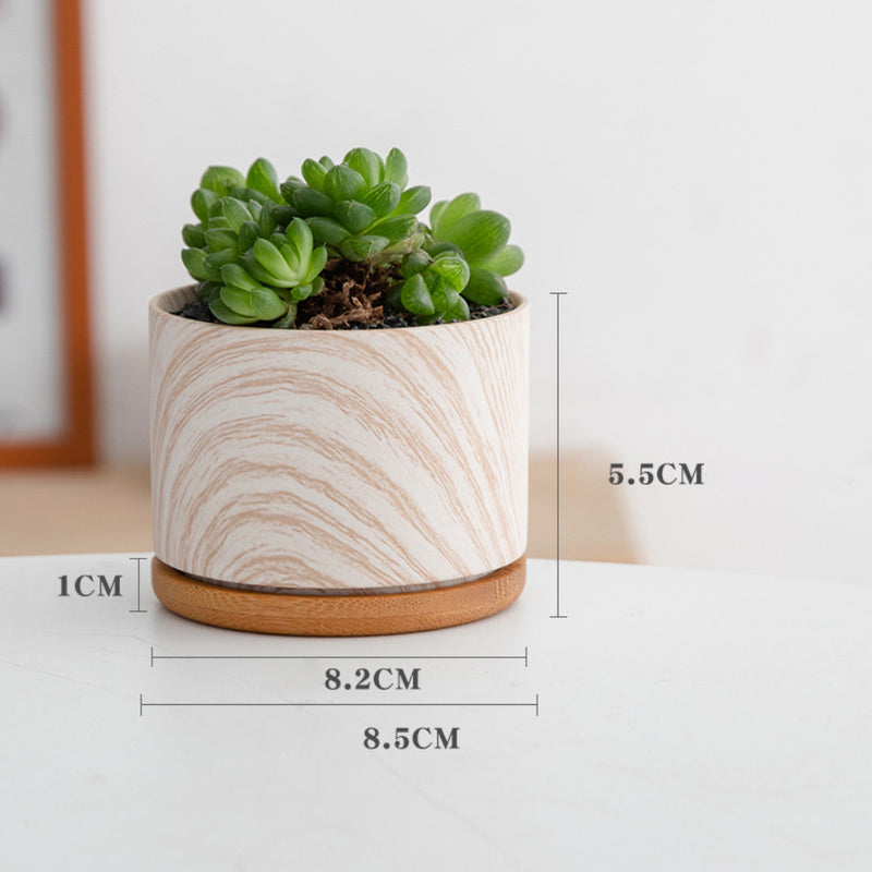 Succulent Plant Pot - Indoor planters and flower pots | Home decor items
