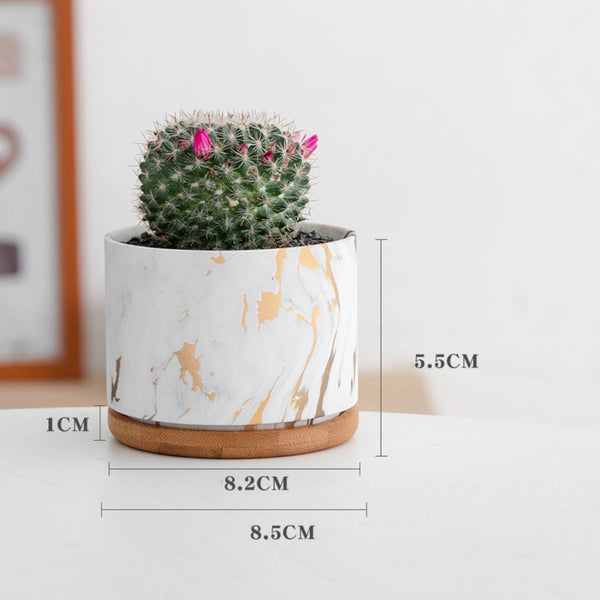 Succulent Plant Pot - Indoor planters and flower pots | Home decor items