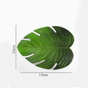 Palm Leaf Coaster Set of 6