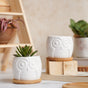 Owl Ceramic Pot - Indoor plant pots and flower pots | Home decoration items