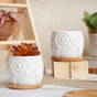 Owl Ceramic Pot - Indoor plant pots and flower pots | Home decoration items