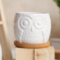 Owl Ceramic Pot - Indoor plant pots and flower pots | Home decoration items