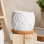 Owl Ceramic Pot - Indoor plant pots and flower pots | Home decoration items