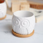 Owl Ceramic Pot - Indoor plant pots and flower pots | Home decoration items