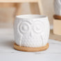 Owl Ceramic Pot - Indoor plant pots and flower pots | Home decoration items