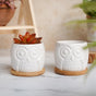 Owl Ceramic Pot - Indoor plant pots and flower pots | Home decoration items