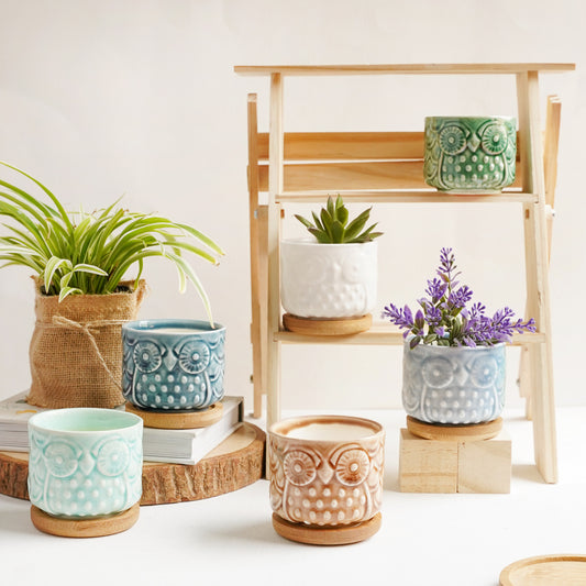 Owl Plant Pot - Indoor plant pots and flower pots | Home decoration items