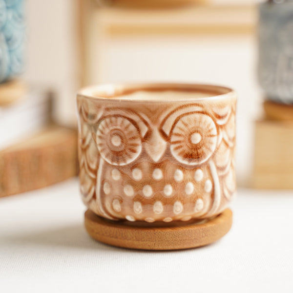 Owl Plant Pot With Coaster Set Of 6