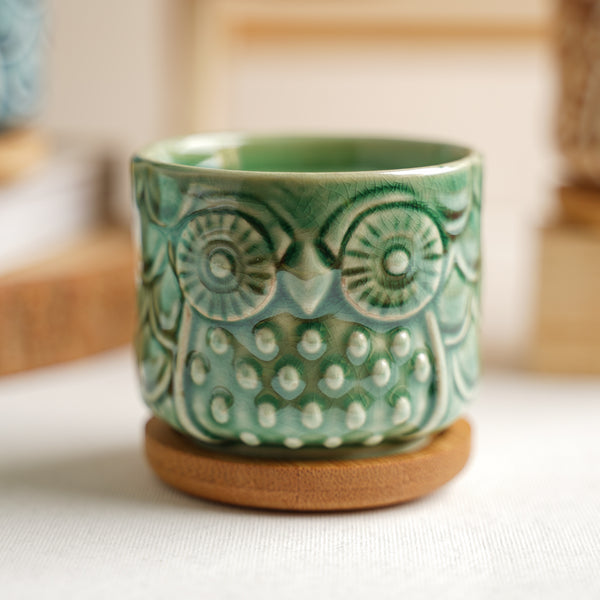 Owl Plant Pot With Coaster Set Of 6