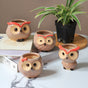 Owl Planter - Indoor plant pots and flower pots | Home decoration items