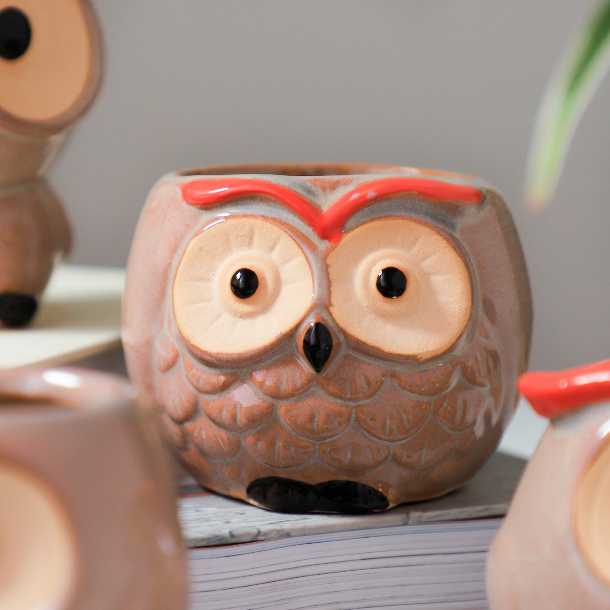 owl planter pots Owl Planter Online - Premium Planter