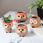 Owl Planter - Indoor plant pots and flower pots | Home decoration items