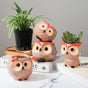 Owl Planter - Indoor plant pots and flower pots | Home decoration items