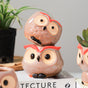 Owl Planter - Indoor plant pots and flower pots | Home decoration items