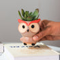 Owl Planter - Indoor plant pots and flower pots | Home decoration items