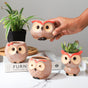 Owl Planter - Indoor plant pots and flower pots | Home decoration items