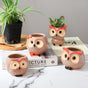 Owl Planter - Indoor plant pots and flower pots | Home decoration items