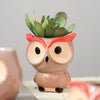 Owl Planter - Indoor plant pots and flower pots | Home decoration items