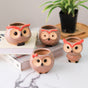 Owl Planter - Indoor plant pots and flower pots | Home decoration items