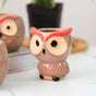 Owl Planter - Indoor plant pots and flower pots | Home decoration items