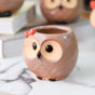 Owl Planter - Indoor plant pots and flower pots | Home decoration items