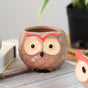 Owl Planter - Indoor plant pots and flower pots | Home decoration items