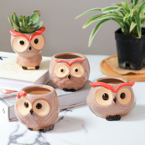 Owl Planter - Indoor plant pots and flower pots | Home decoration items