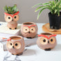 Owl Planter - Indoor plant pots and flower pots | Home decoration items