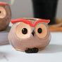 Owl Planter - Indoor plant pots and flower pots | Home decoration items