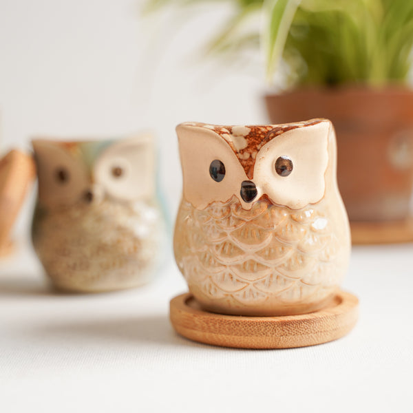 Owl Planters Set of 6 - Indoor plant pots and flower pots | Home decoration items
