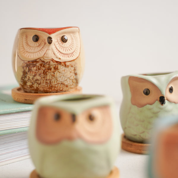 Owl Planters Set of 6 - Indoor plant pots and flower pots | Home decoration items