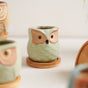 Owl Planters Set of 6 - Indoor plant pots and flower pots | Home decoration items