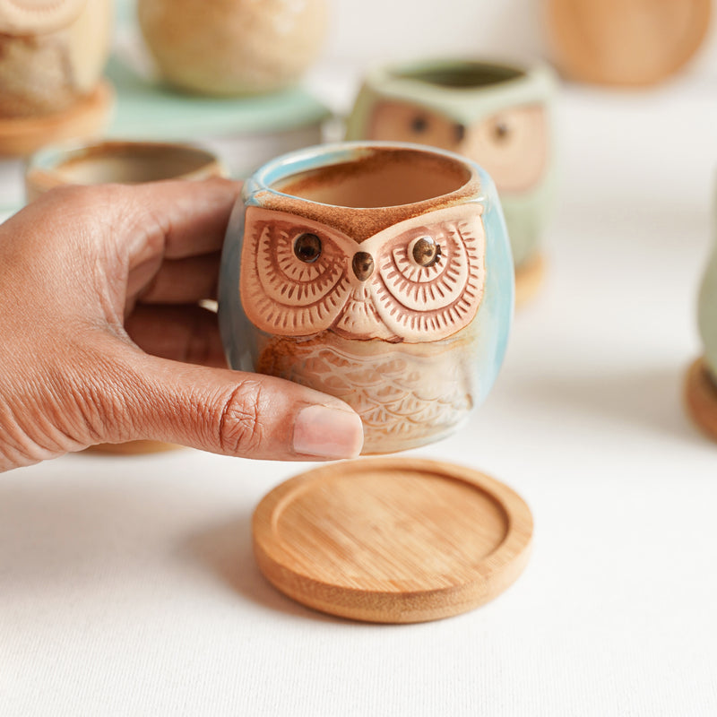 Owl Planters Set of 6 - Indoor plant pots and flower pots | Home decoration items